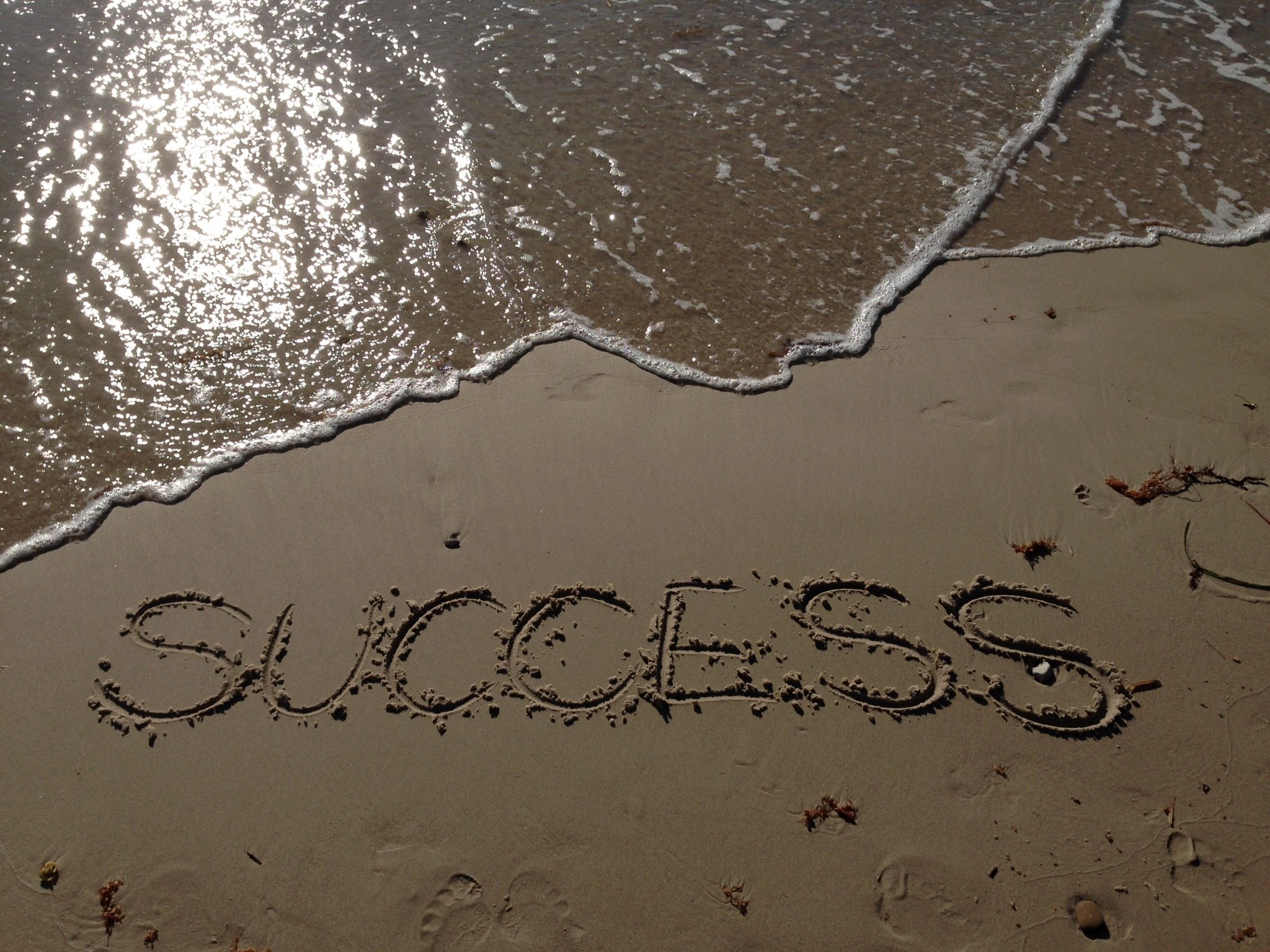 Success is gives you stress and failure sets you free